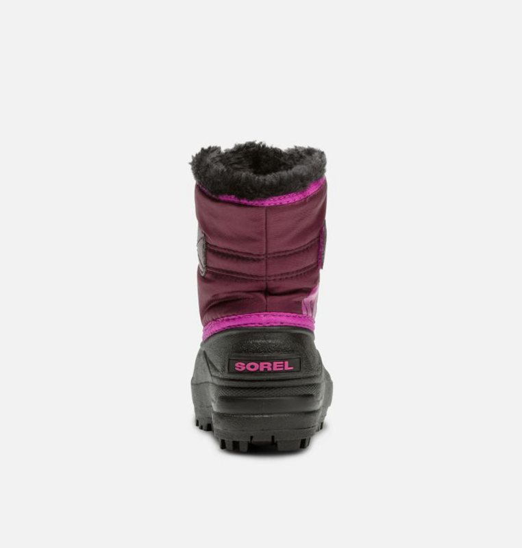 Kids Snow Boots Purple/Pink/Black - Sorel Toddler Commander™ - 836210-GQI